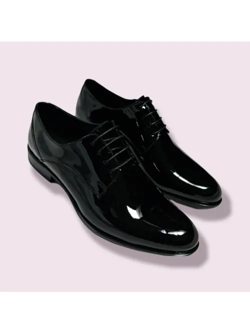 Pantofi eleganti barbati